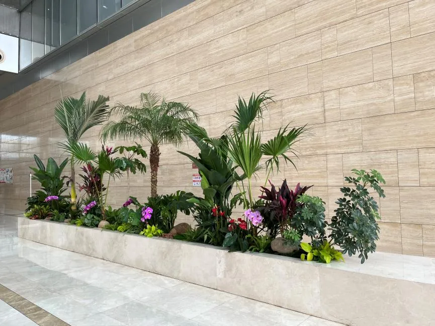 深挖宁波奉化盆景租赁价格，别错过