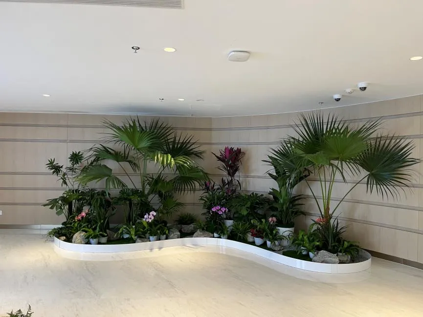 宁波杭州湾植物租摆方案，打造独特绿色空间